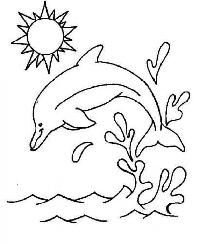 immagini delfini che saltano