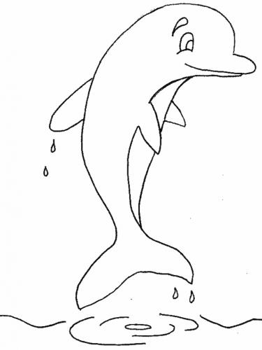 immagini delfino per bambini