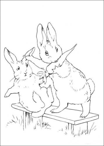 Immagini di coniglietti
