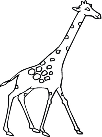 immagini giraffe cartoon