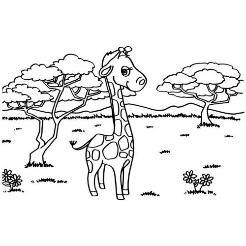 immagini giraffe pdf gratis