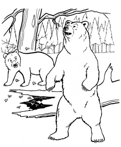 orso disegno da colorare