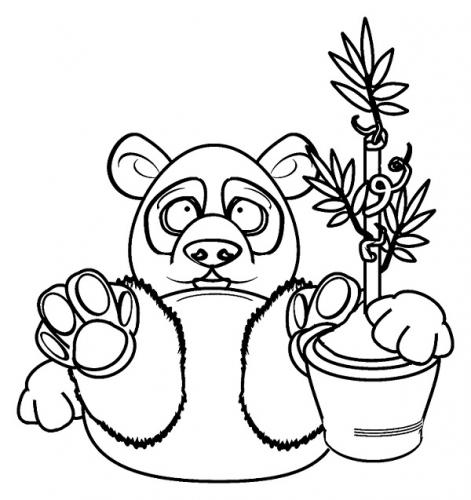 panda disegno da colorare