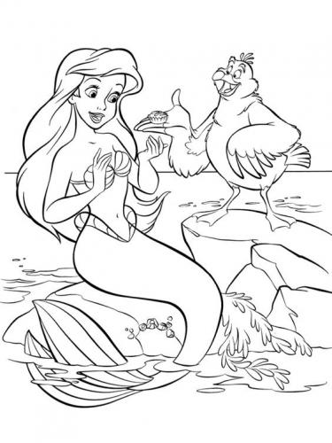 Ariel con il gabbiano suo amico