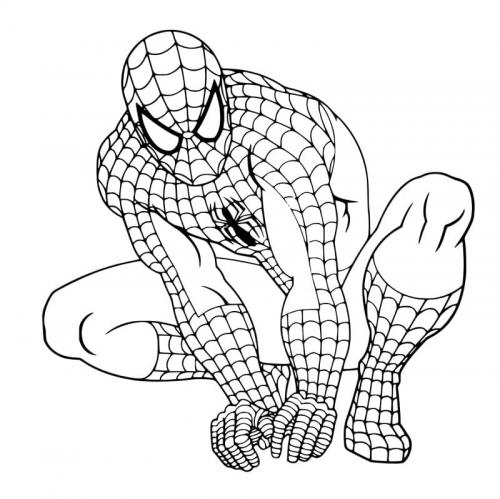 spiderman bianco