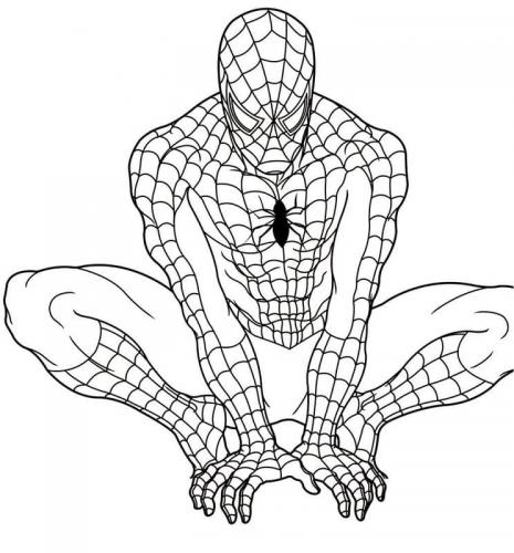 spiderman disegni da colorare
