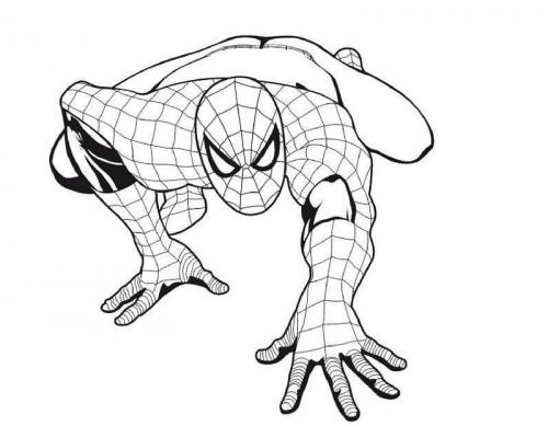 spiderman immagini da colorare per bambini