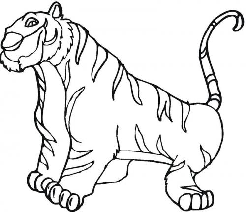 tigre disegni da colorare